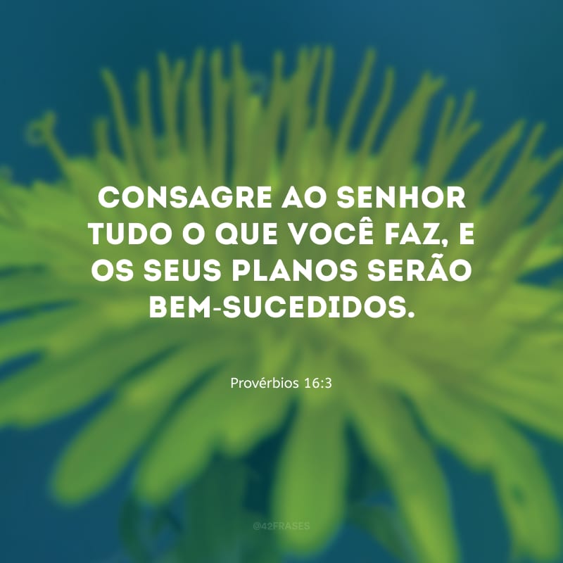 Consagre ao Senhor tudo o que você faz, e os seus planos serão bem-sucedidos.