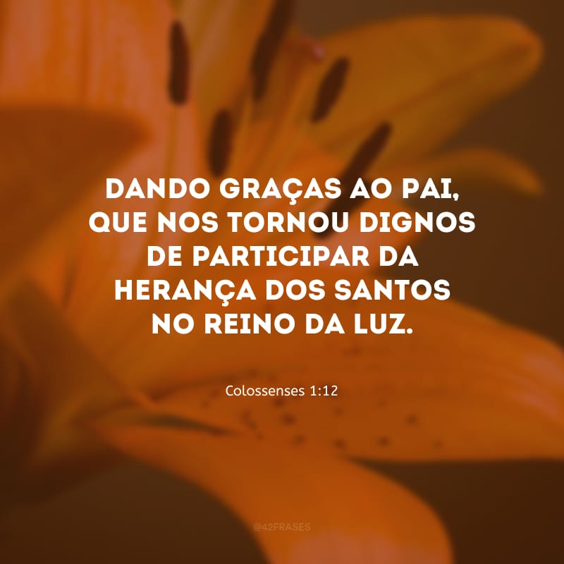 Dando graças ao Pai, que nos tornou dignos de participar da herança dos santos no reino da luz.