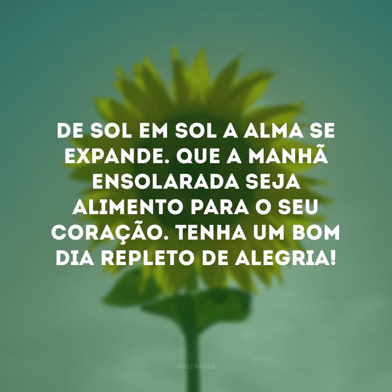 De sol em sol a alma se expande. Que a manhã ensolarada seja alimento para o seu coração. Tenha um bom dia repleto de alegria!