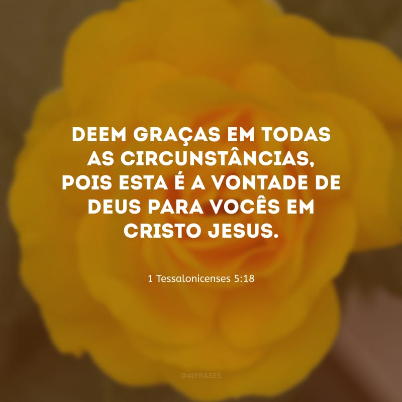 Deem graças em todas as circunstâncias, pois esta é a vontade de Deus para vocês em Cristo Jesus.