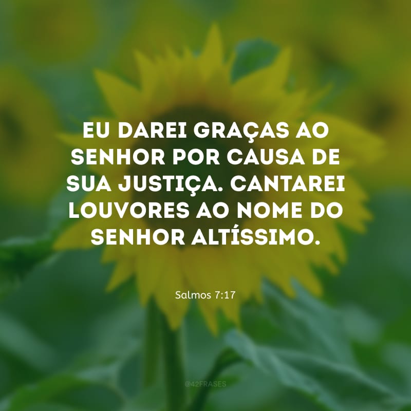 Eu darei graças ao Senhor por causa de sua justiça. Cantarei louvores ao nome do Senhor Altíssimo.