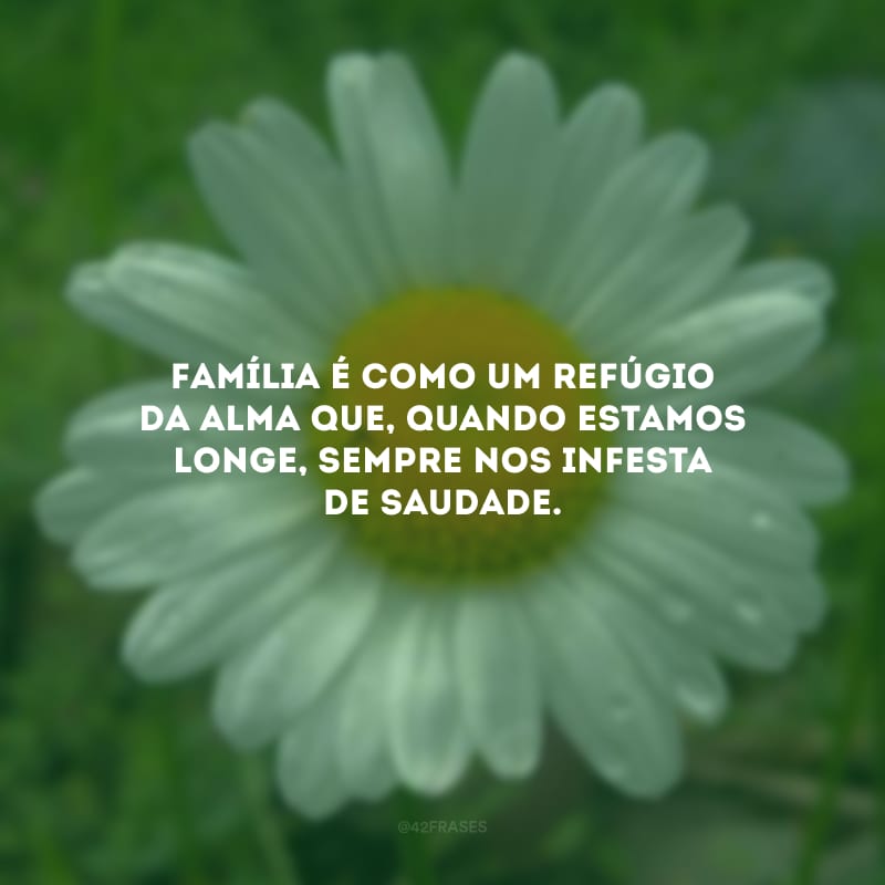 Família é como um refúgio da alma que, quando estamos longe, sempre nos infesta de saudade.