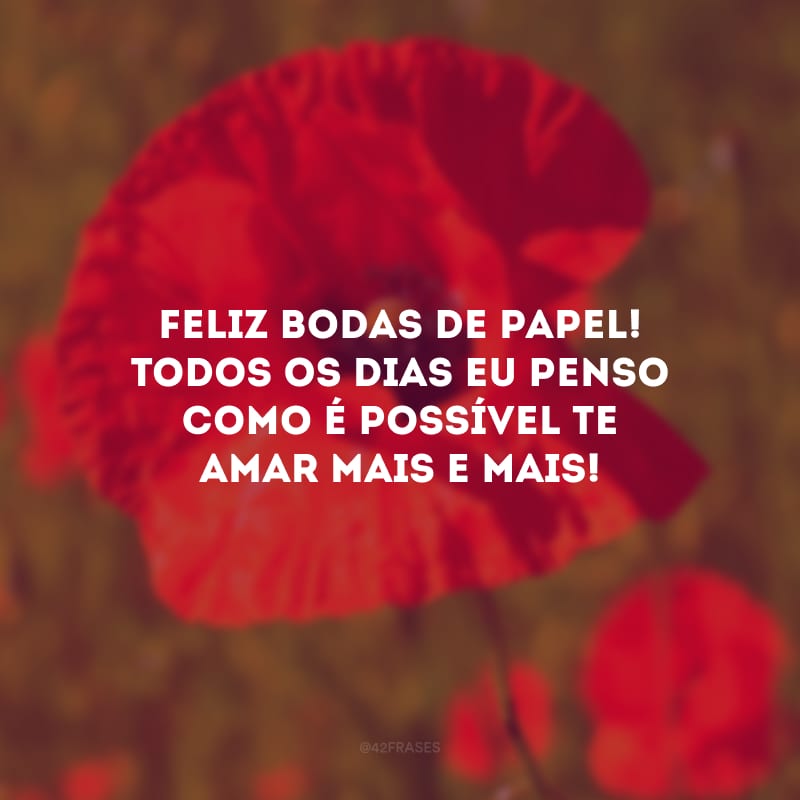 Feliz bodas de papel! Todos os dias eu penso como é possível te amar mais e mais!