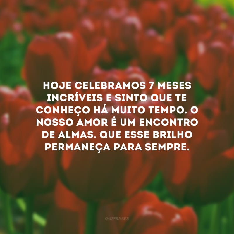 Hoje celebramos 7 meses incríveis e sinto que te conheço há muito tempo. O nosso amor é um encontro de almas. Que esse brilho permaneça para sempre.