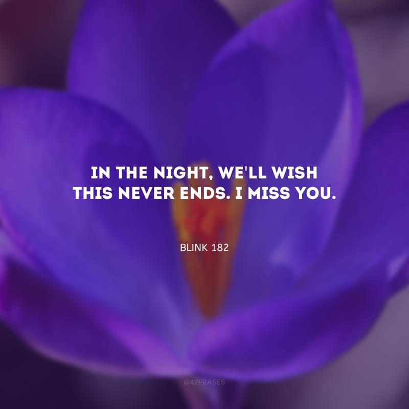 In the night, we\'ll wish this never ends. I miss you. (Na noite, nós vamos desejar que isso nunca termine. Eu sinto sua falta.)