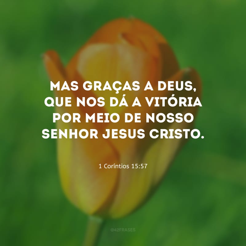 Mas graças a Deus, que nos dá a vitória por meio de nosso Senhor Jesus Cristo.