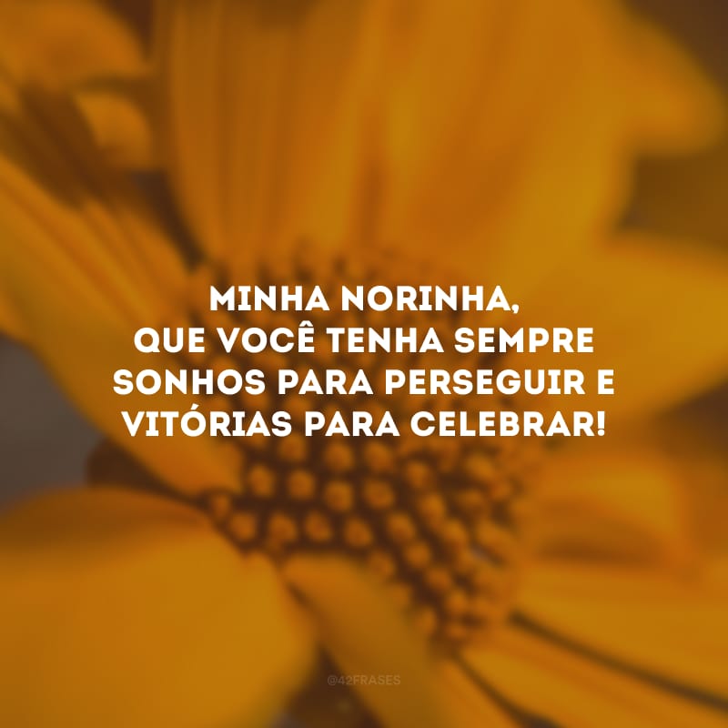 Minha norinha, que você tenha sempre sonhos para perseguir e vitórias para celebrar!