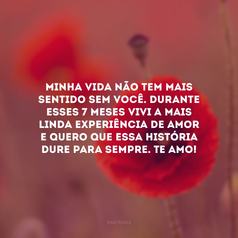 Minha vida não tem mais sentido sem você. Durante esses 7 meses vivi a mais linda experiência de amor e quero que essa história dure para sempre. Te amo!