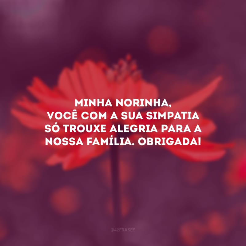 Minha norinha, você com a sua simpatia só trouxe alegria para a nossa família. Obrigada! 