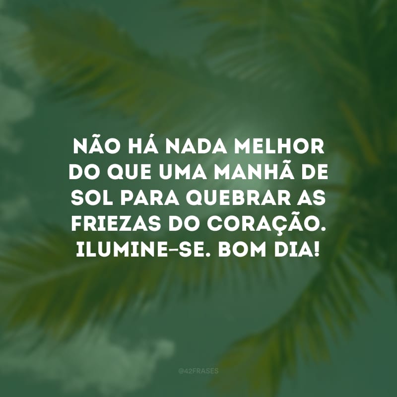 Não há nada melhor do que uma manhã de sol para quebrar as friezas do coração. Ilumine-se. Bom dia!