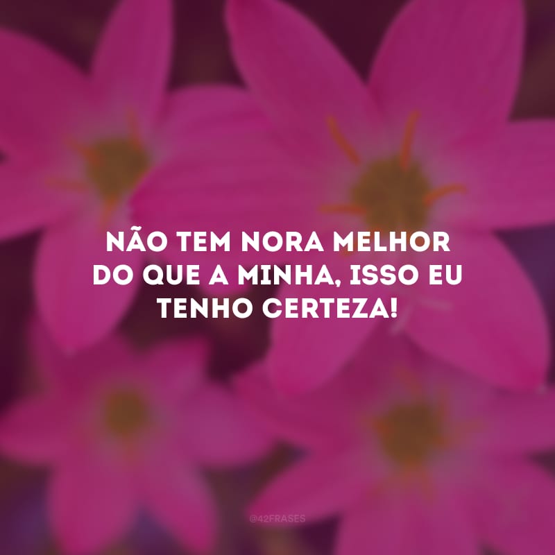 Não tem nora melhor do que a minha, isso eu tenho certeza!