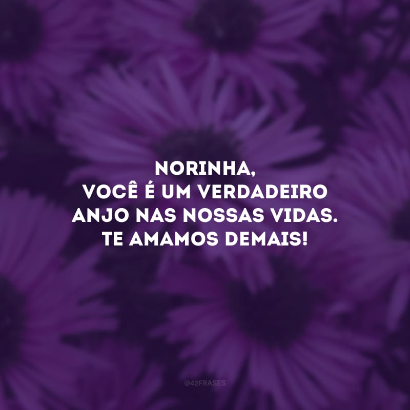 Norinha, você é um verdadeiro anjo nas nossas vidas. Te amamos demais!