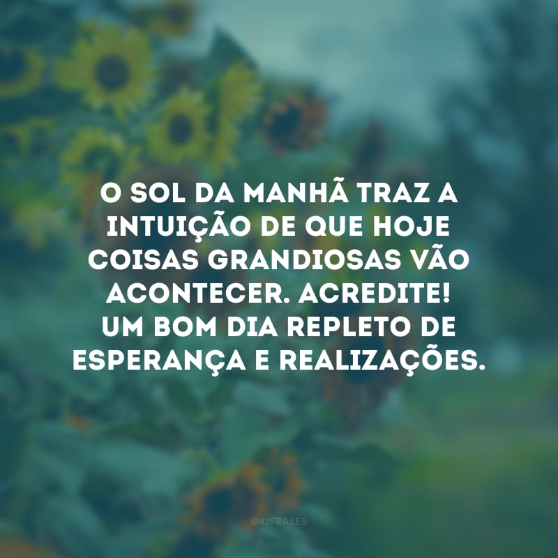 O sol da manhã traz a intuição de que hoje coisas grandiosas vão acontecer. Acredite! Um bom dia repleto de esperança e realizações.