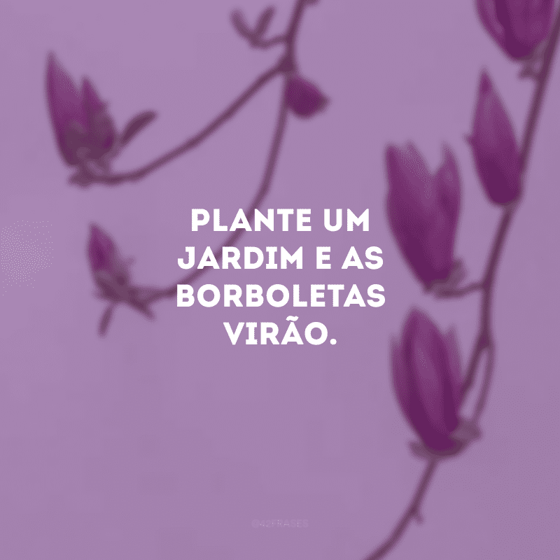 Plante um jardim e as borboletas virão. 