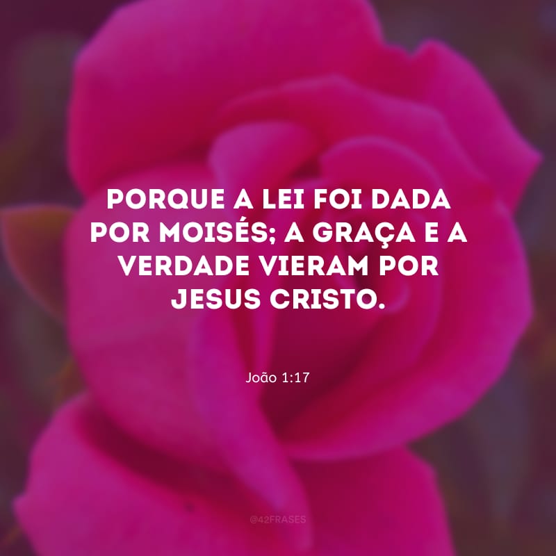 Porque a lei foi dada por Moisés; a graça e a verdade vieram por Jesus Cristo.