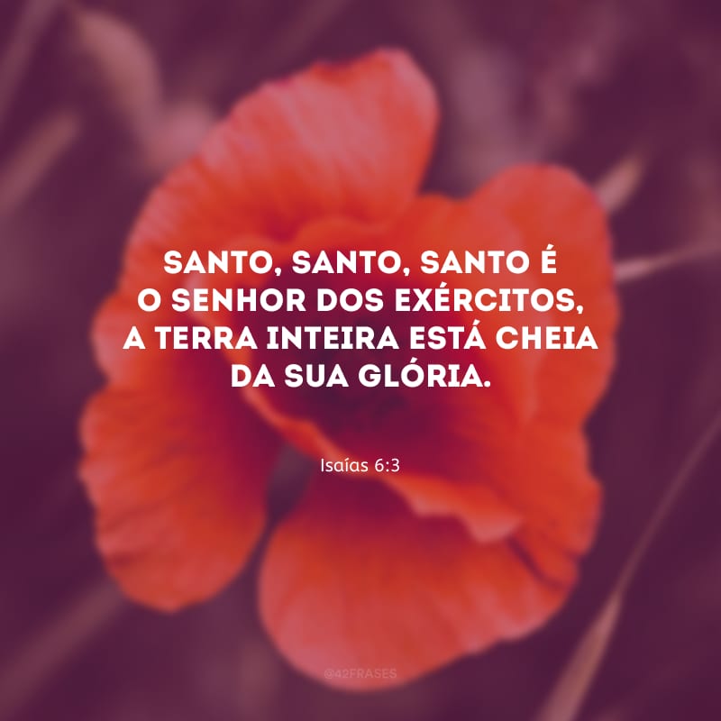 Santo, santo, santo é o Senhor dos Exércitos, a Terra inteira está cheia da sua glória.