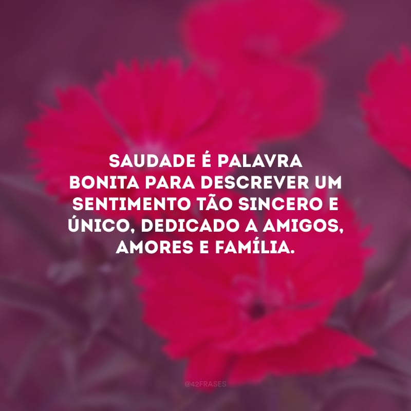 Saudade é palavra bonita para descrever um sentimento tão sincero e único, dedicado a amigos, amores e família.