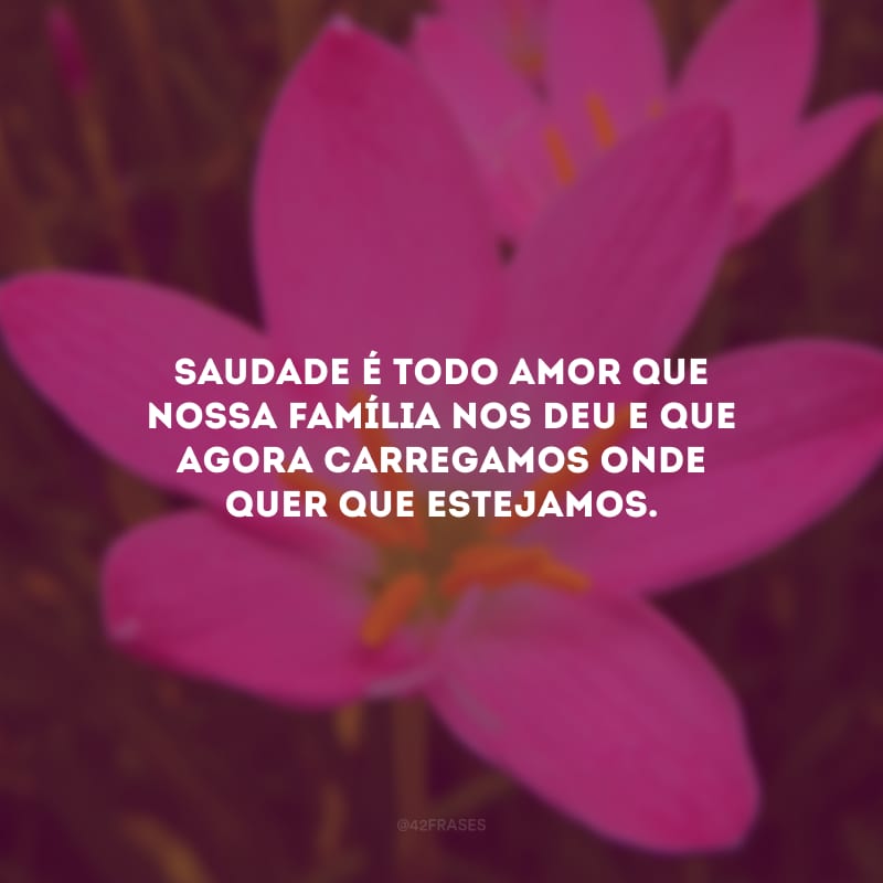 Saudade é todo amor que nossa família nos deu e que agora carregamos onde quer que estejamos. 