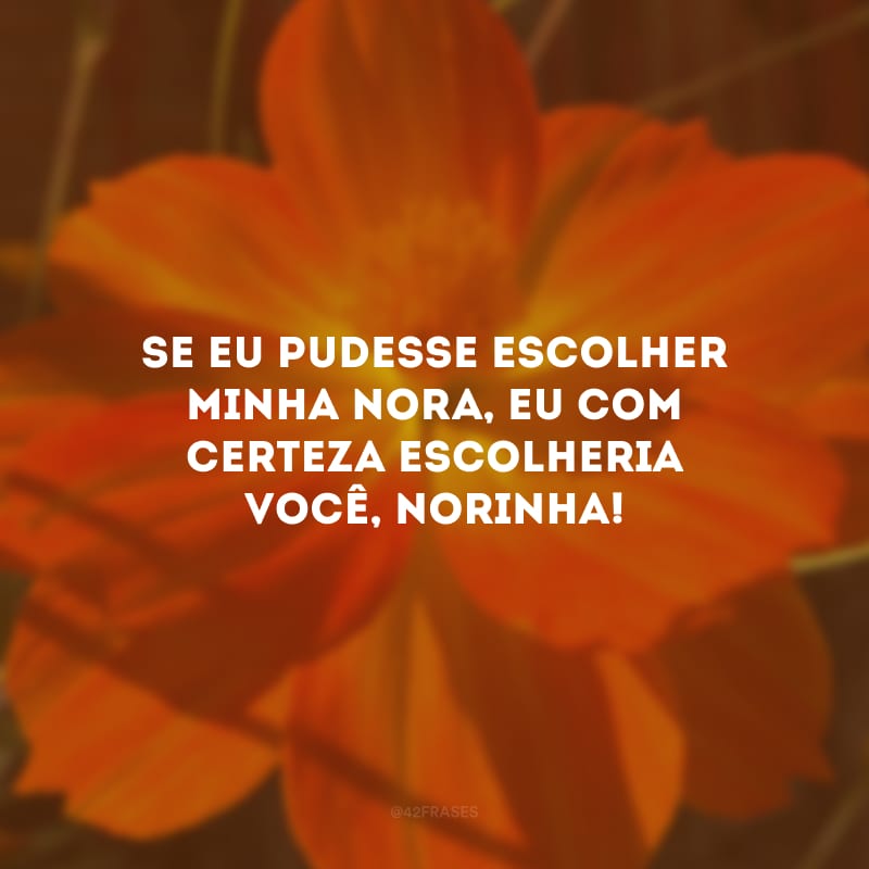 Se eu pudesse escolher minha nora, eu com certeza escolheria você, norinha! 