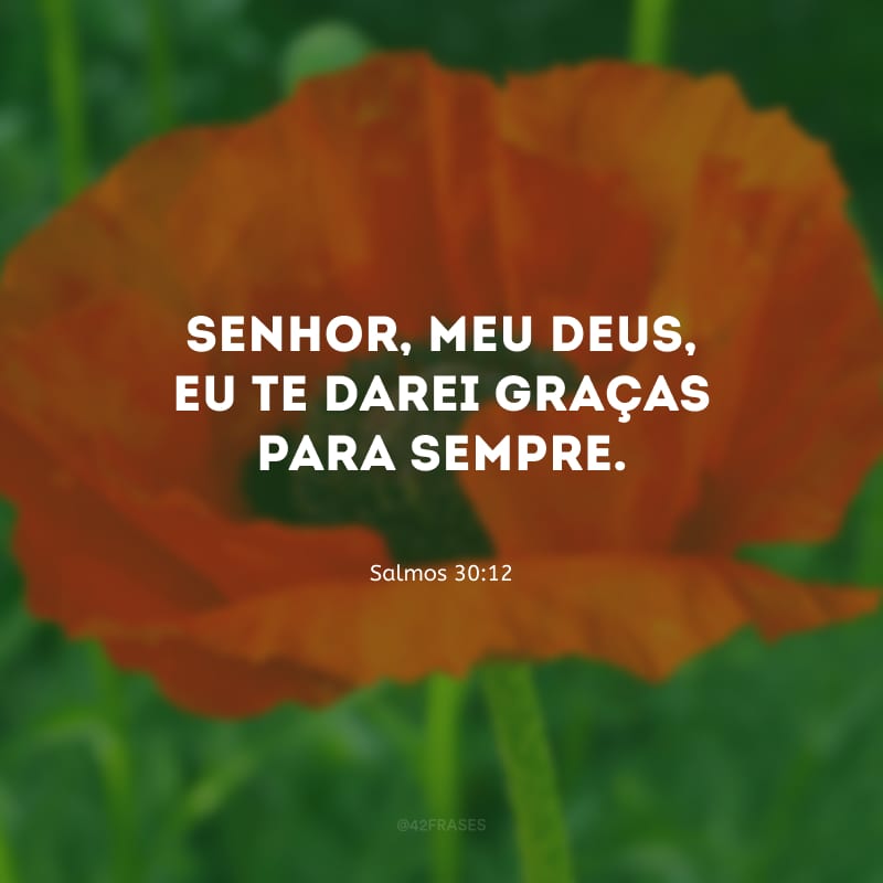 Senhor, meu Deus, eu te darei graças para sempre.