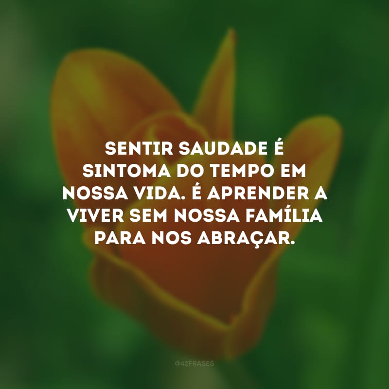 Sentir saudade é sintoma do tempo em nossa vida. É aprender a viver sem nossa família para nos abraçar.