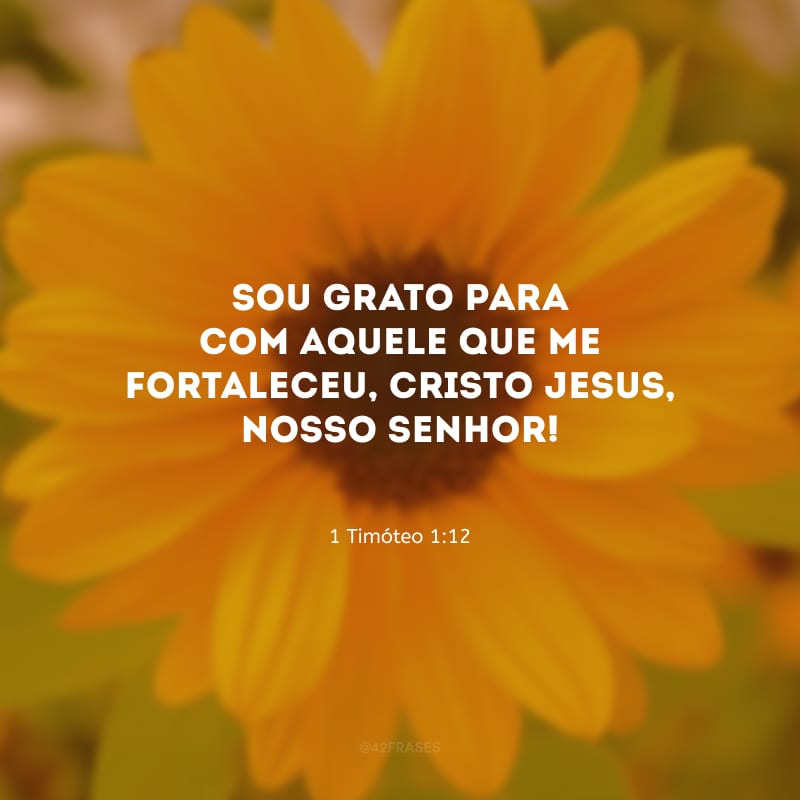 Sou grato para com aquele que me fortaleceu, Cristo Jesus, nosso Senhor!