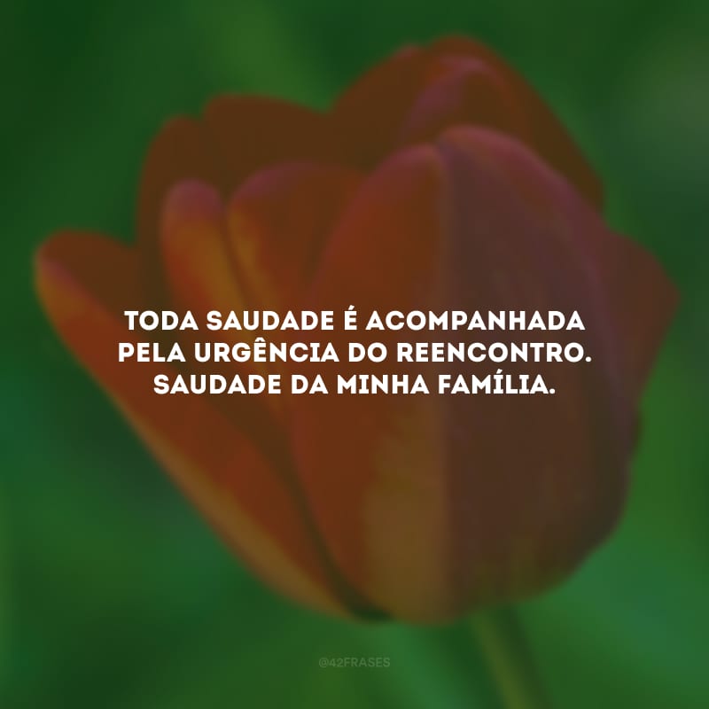 Toda saudade é acompanhada pela urgência do reencontro. Saudade da minha família.