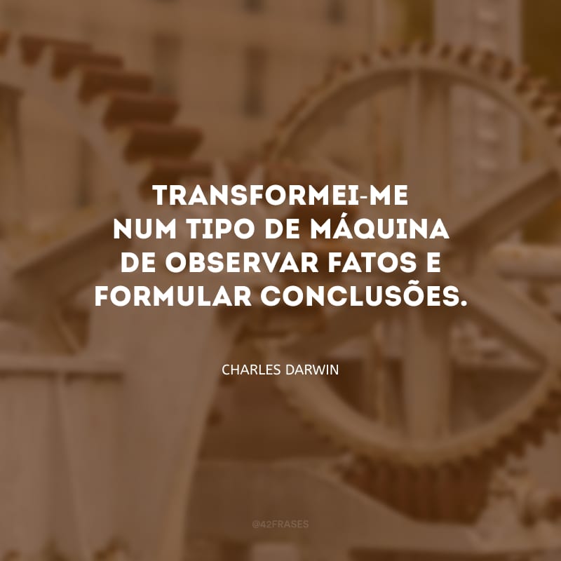 Transformei-me num tipo de máquina de observar fatos e formular conclusões.