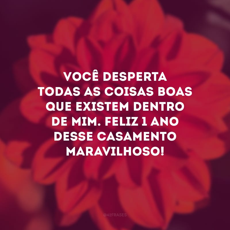 Você desperta todas as coisas boas que existem dentro de mim. Feliz 1 ano desse casamento maravilhoso! 