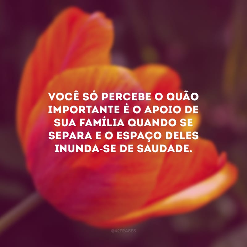 Você só percebe o quão importante é o apoio de sua família quando se separa e o espaço deles inunda-se de saudade.