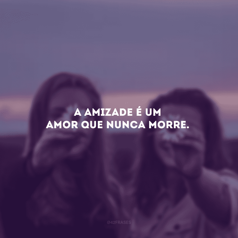 A amizade é um amor que nunca morre.