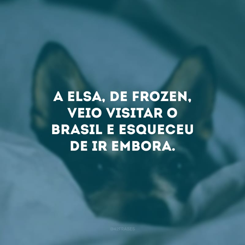 A Elsa, de Frozen, veio visitar o Brasil e esqueceu de ir embora.