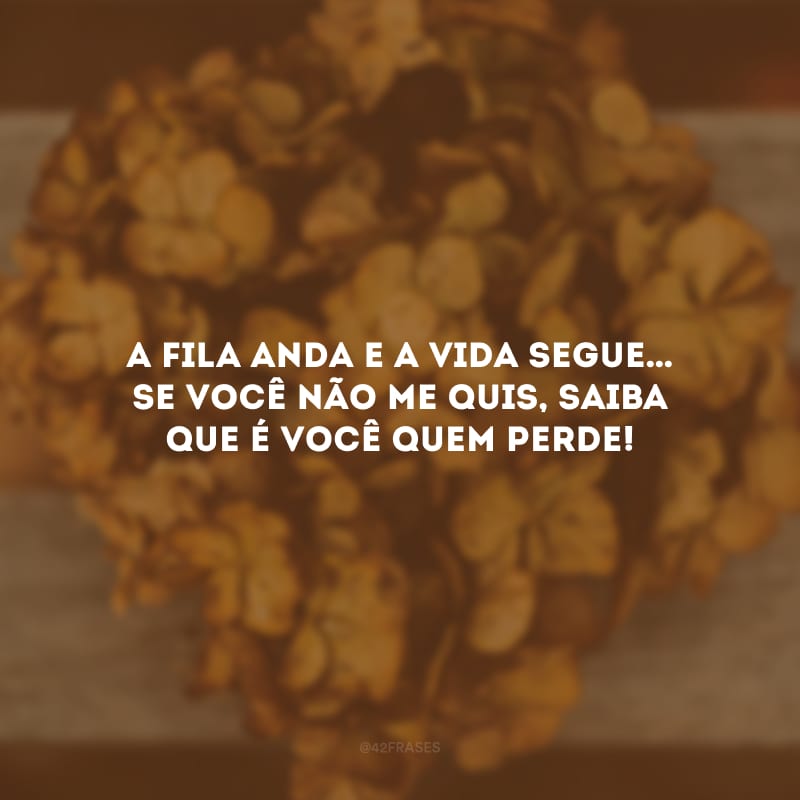 A fila anda e a vida segue… Se você não me quis, saiba que é você quem perde!