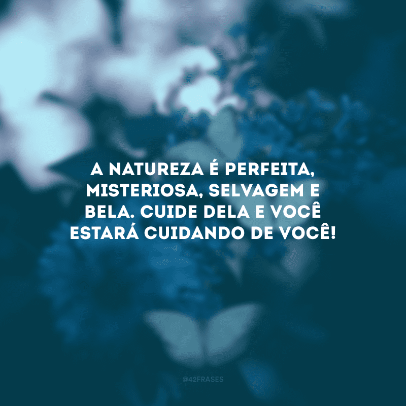 A natureza é perfeita, misteriosa, selvagem e bela. Cuide dela e você estará cuidando de você!