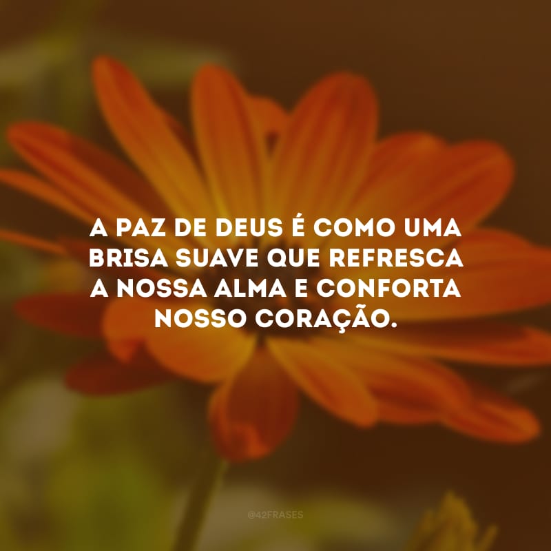 A paz de Deus é como uma brisa suave que refresca a nossa alma e conforta nosso coração.