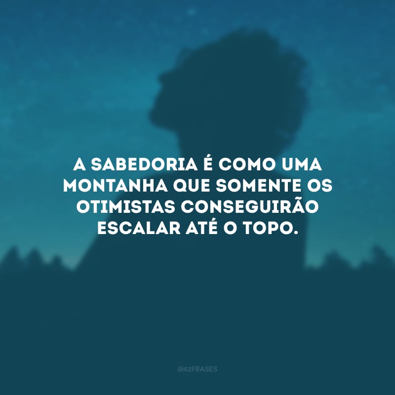 A sabedoria é como uma montanha que somente os otimistas conseguirão escalar até o topo.