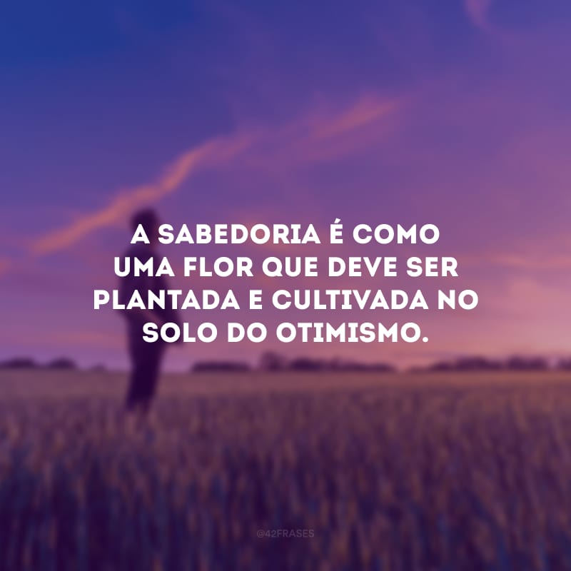 A sabedoria é como uma flor que deve ser plantada e cultivada no solo do otimismo.