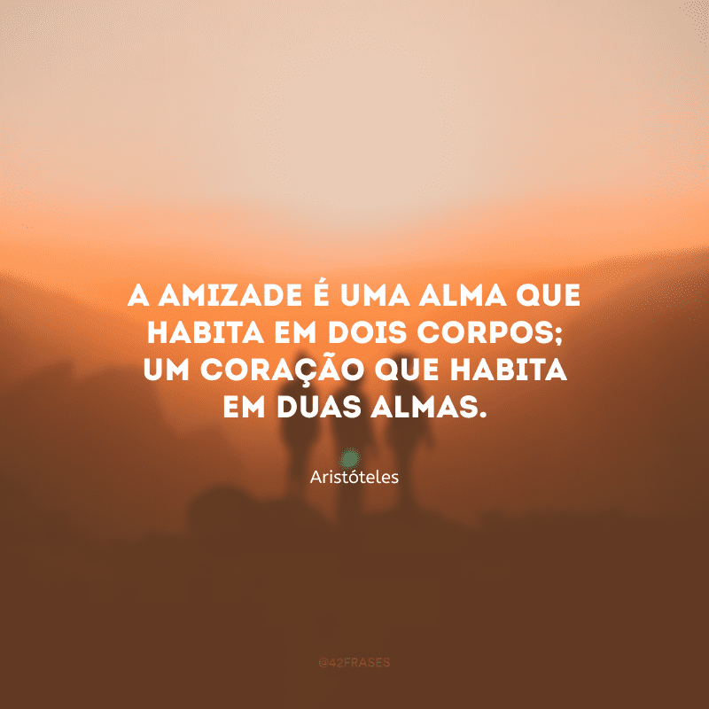 A amizade é um alma que habita em dois corpos; um coração que habita em duas almas.