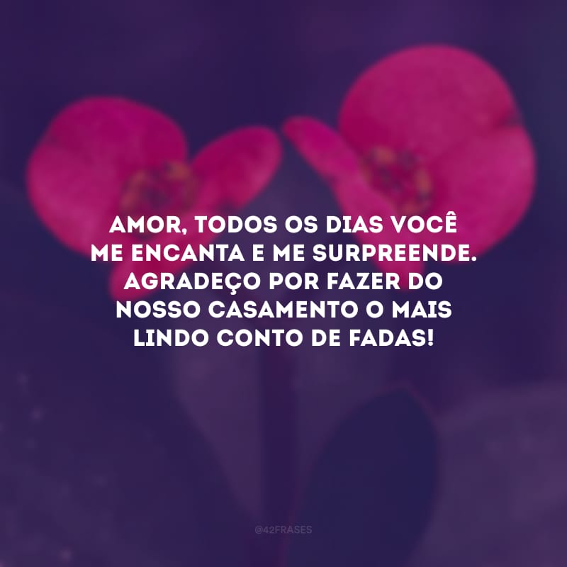 Amor, todos os dias você me encanta e me surpreende. Agradeço por fazer do nosso casamento o mais lindo conto de fadas!