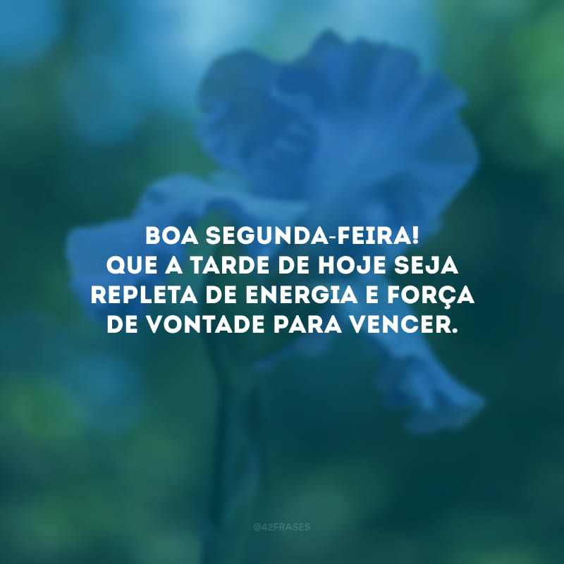 Boa segunda-feira! Que a tarde de hoje seja repleta de energia e força de vontade para vencer.