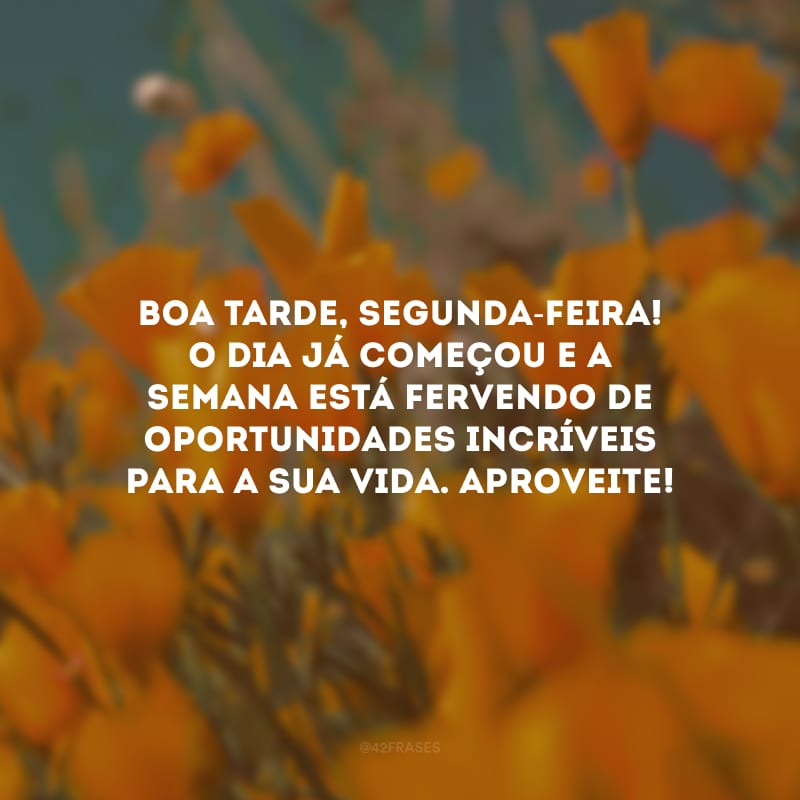 Boa tarde, segunda-feira! O dia já começou e a semana está fervendo de oportunidades incríveis para a sua vida. Aproveite!