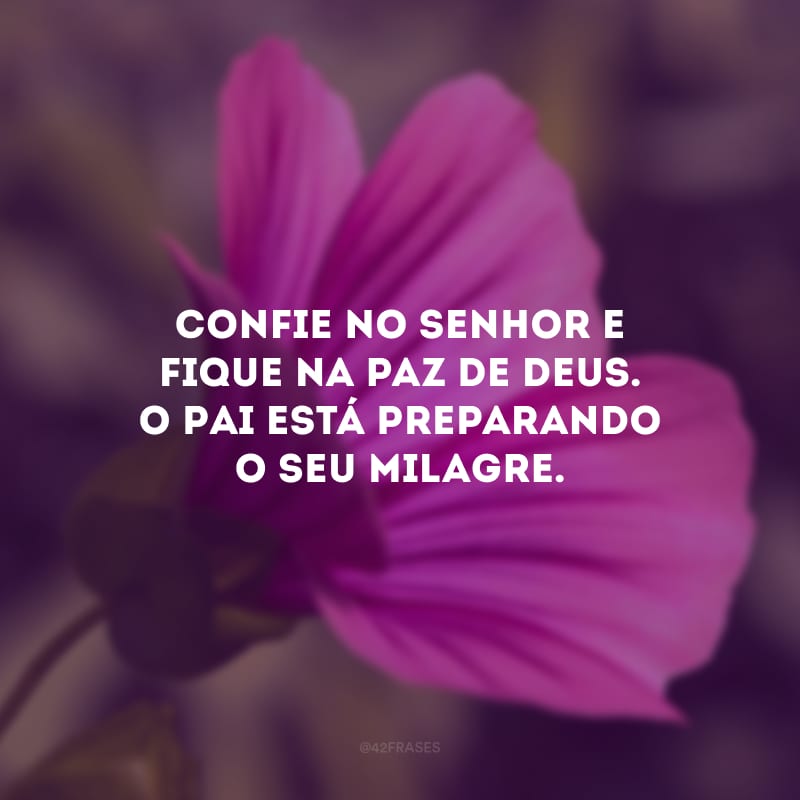 Confie no Senhor e fique na paz de Deus. O Pai está preparando o seu milagre.