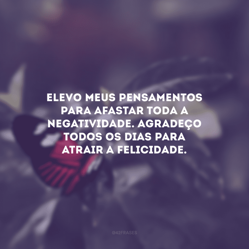 Elevo meus pensamentos para afastar toda a negatividade. Agradeço todos os dias para atrair a felicidade.