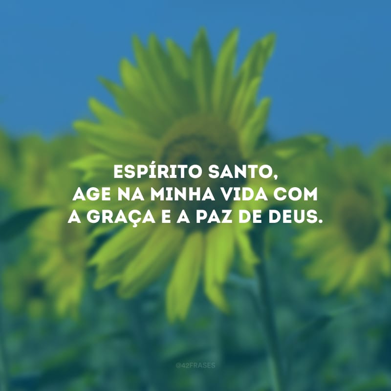 Espírito Santo, age na minha vida com a graça e a paz de Deus.