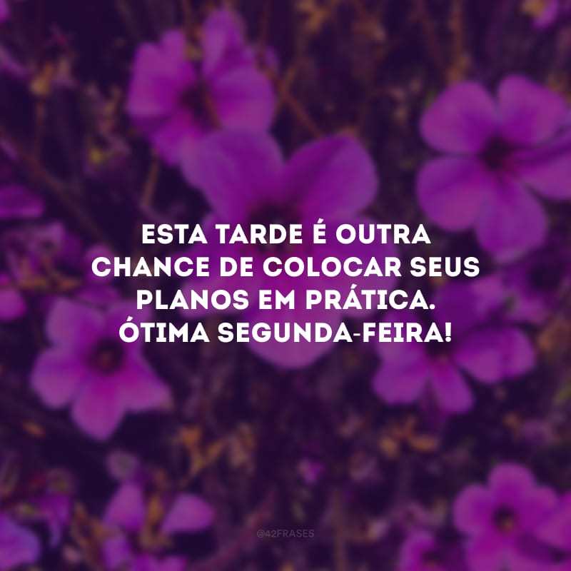 Esta tarde é outra chance de colocar seus planos em prática. Ótima segunda-feira!