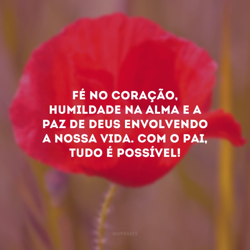 Fé no coração, humildade na alma e a paz de Deus envolvendo a nossa vida. Com o Pai, tudo é possível!