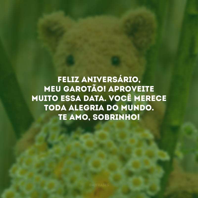 Feliz aniversário, meu garotão! Aproveite muito essa data. Você merece toda alegria do mundo. Te amo, sobrinho!