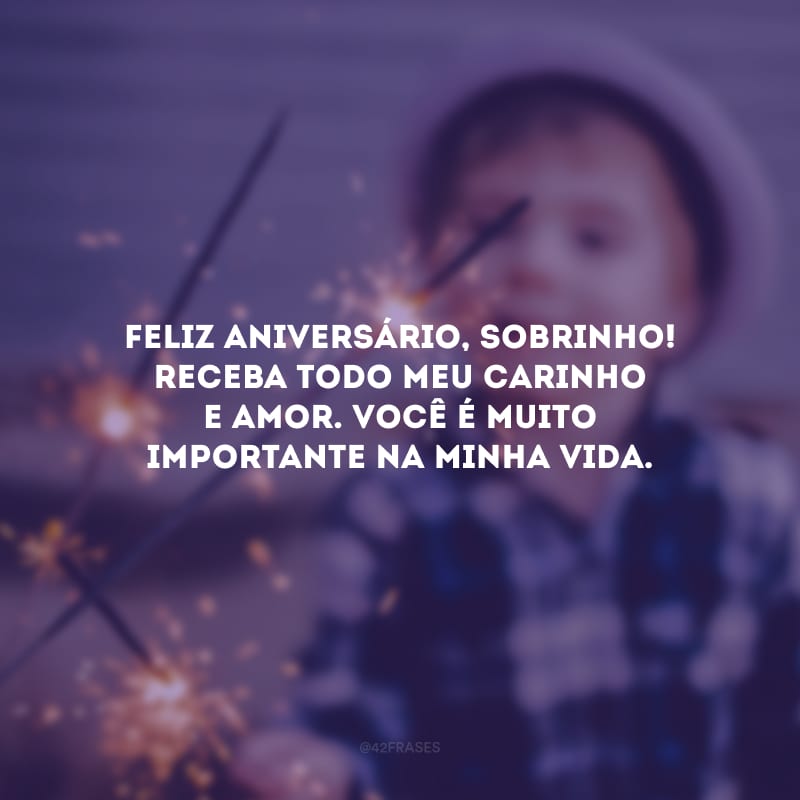 Feliz aniversário, sobrinho! Receba todo meu carinho e amor. Você é muito importante na minha vida.