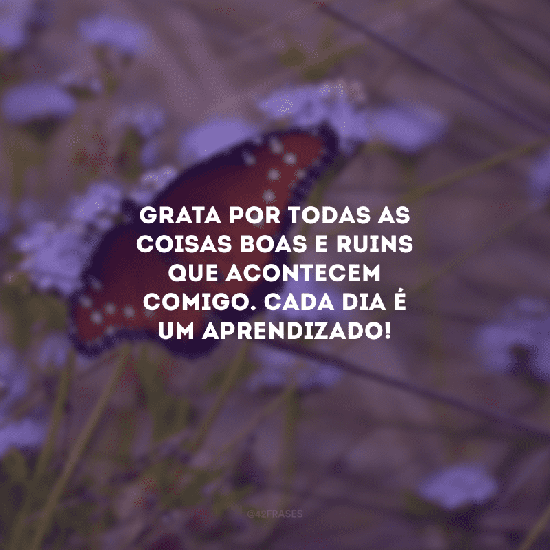 Grata por todas as coisas boas e ruins que acontecem comigo. Cada dia é um aprendizado!