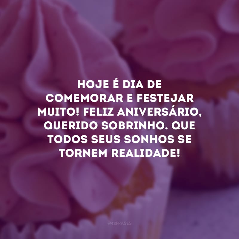 Hoje é dia de comemorar e festejar muito! Feliz aniversário, querido sobrinho. Que todos seus sonhos se tornem realidade!